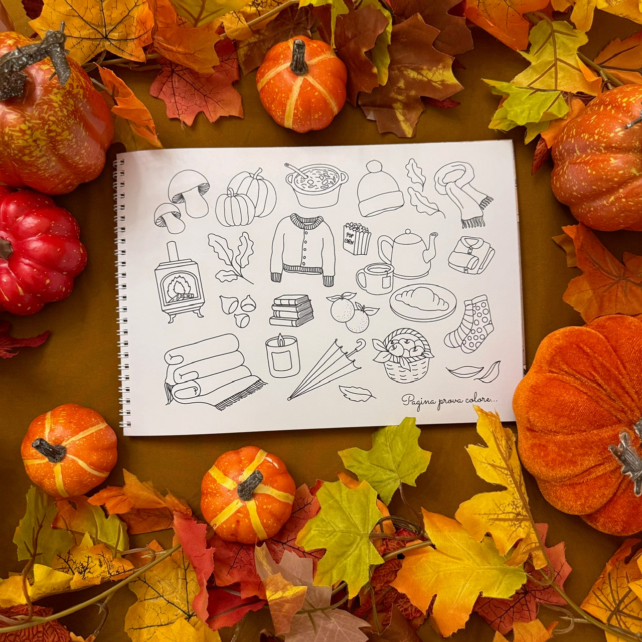 L'autunno dei ricci da colorare - Libro Cartaceo