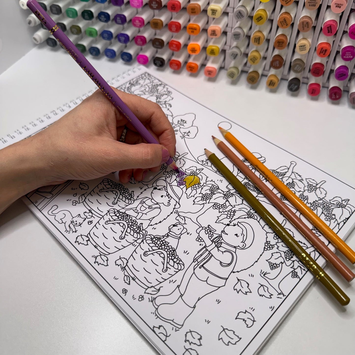 Autumn Hedgehog Coloring Book - Paperback