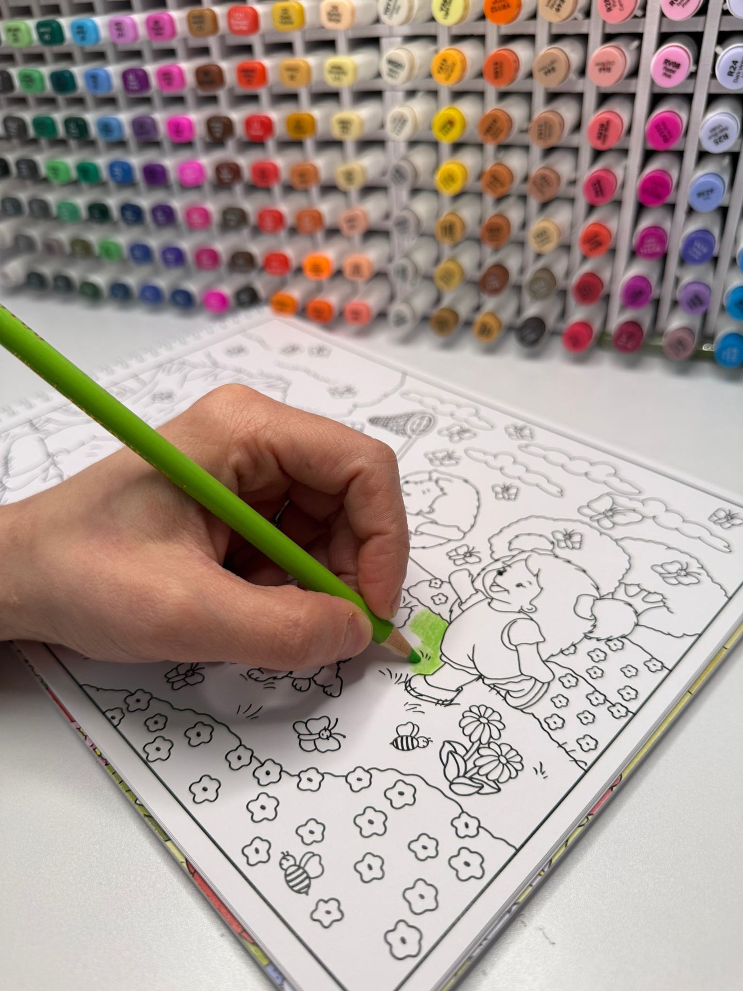 La primavera dei ricci da colorare - Libro Cartaceo